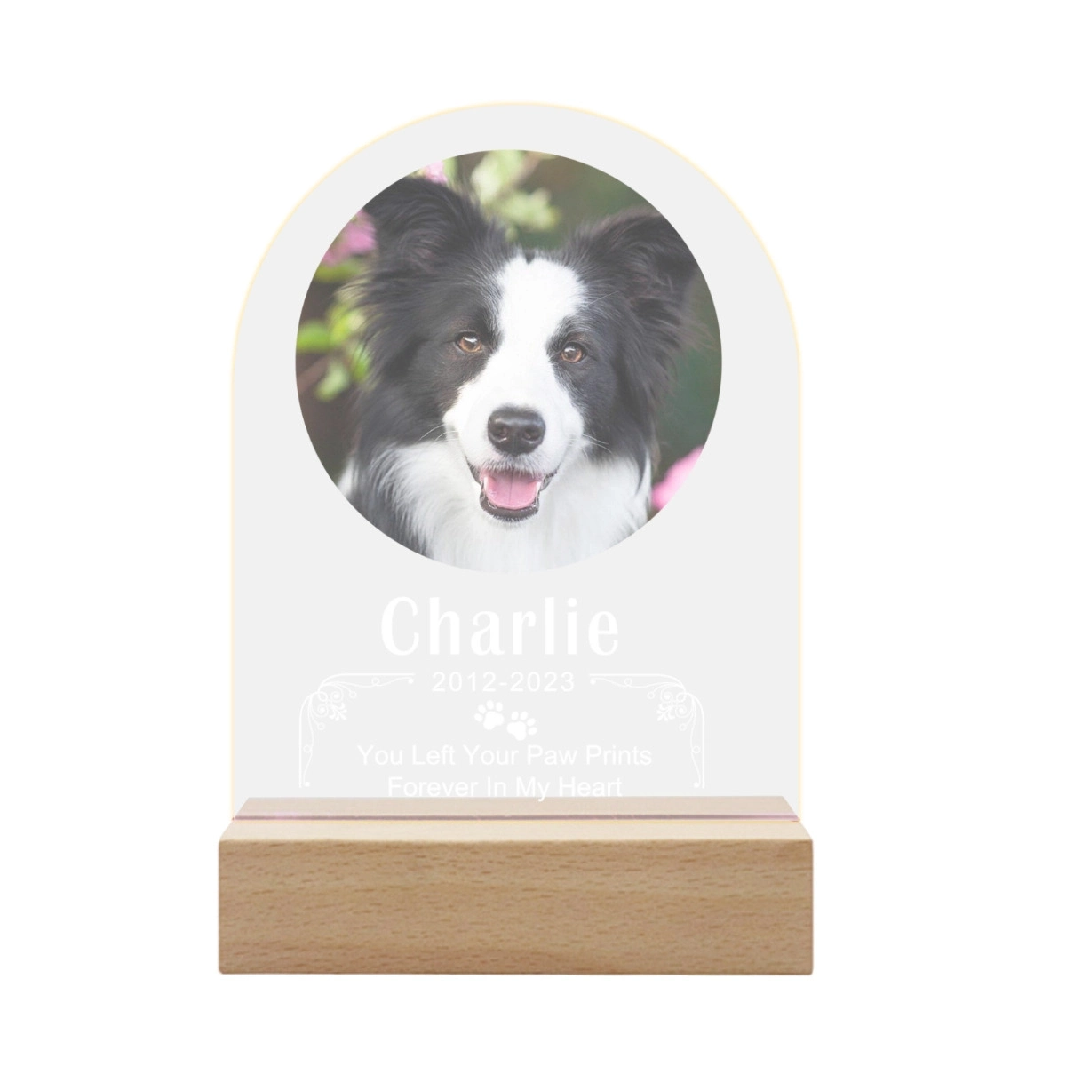 Customized Memorial LED Lights - Keepsake Sympathy Gifts