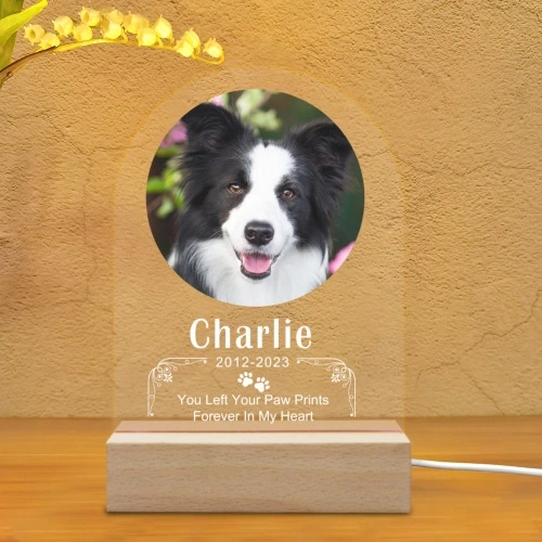 Customized Memorial LED Lights - Keepsake Sympathy Gifts